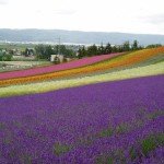 Información de la islas de Hokkaido