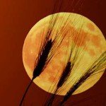 La Luna Llena de Octubre