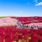 El Parque Hitachi y sus cambiantes colores