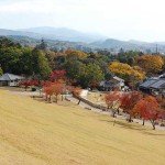 El Monte Wakakusayama y el fuego sagrado