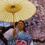 Wagasa, el tradicional paraguas japonés