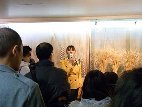 Fabrica de cerveza Suntory