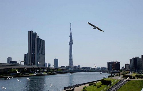 Tokyo Sky Tree, cada vez más cerca