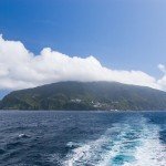 Ver delfines en la Isla Mikurashima