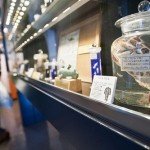 El Museo Meguro de Parásitos