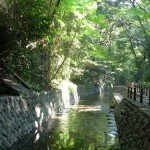 Todoroki, un secreto verde en el corazón de Tokio