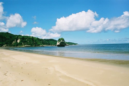 Ecoturismo en la Isla Irimote, Okinawa