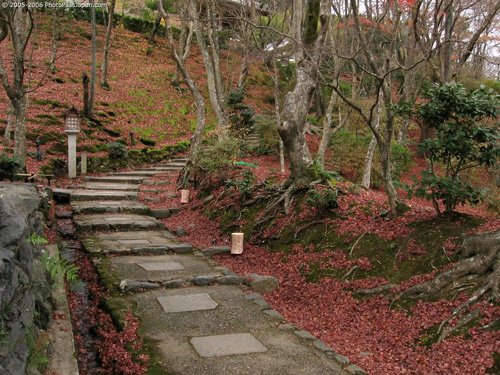 arashiyama