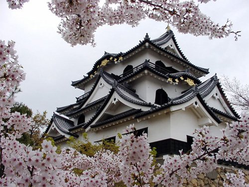 El Castillo Hikone, legado original del pasado feudal