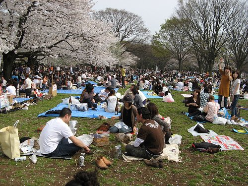 Hanami