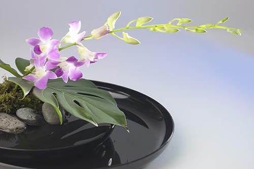 Ikebana, el arte floral japonés