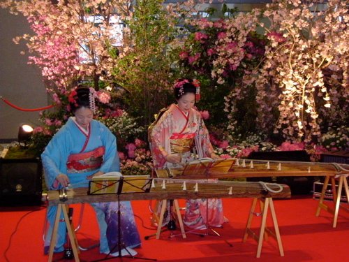 Koto, el instrumento musical japones