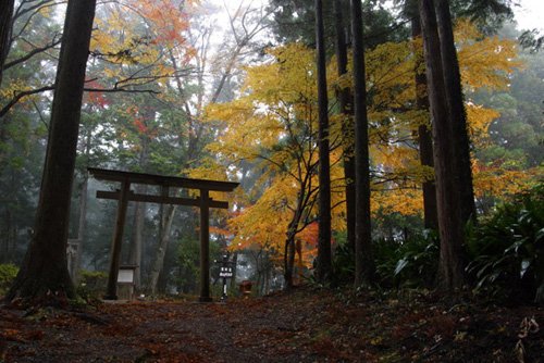 Kumano Kodo, el Camino de Santiago japonés