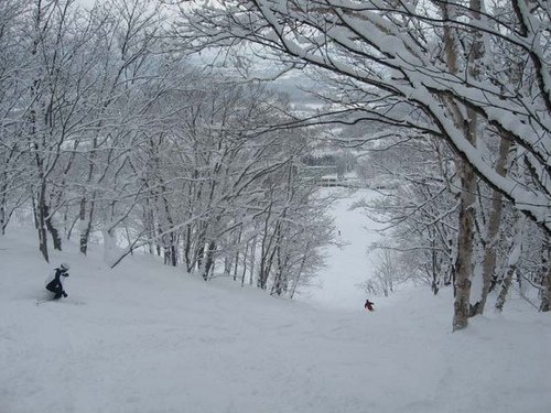 Niseko, principal centro de esquí en Japón