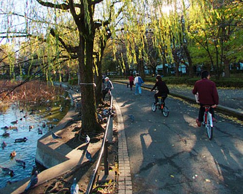 Parque Ueno, Tokyo