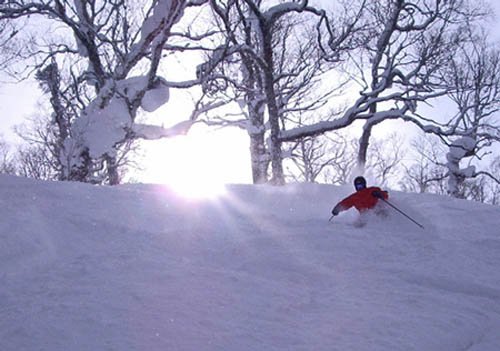 Rusutsu, esquí en Japón