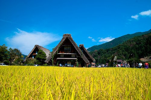 shirakawago