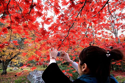 Fotos del otoño en Japón