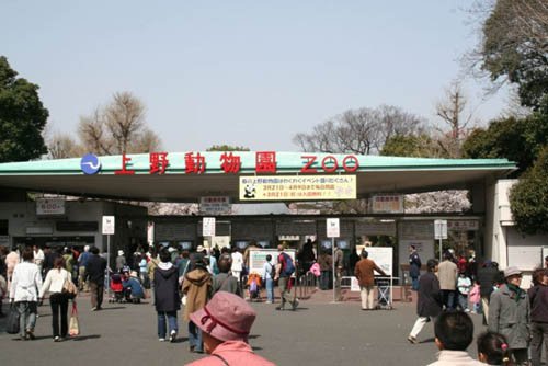 zoo ueno