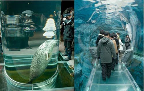 El Zoologico Asahiyama